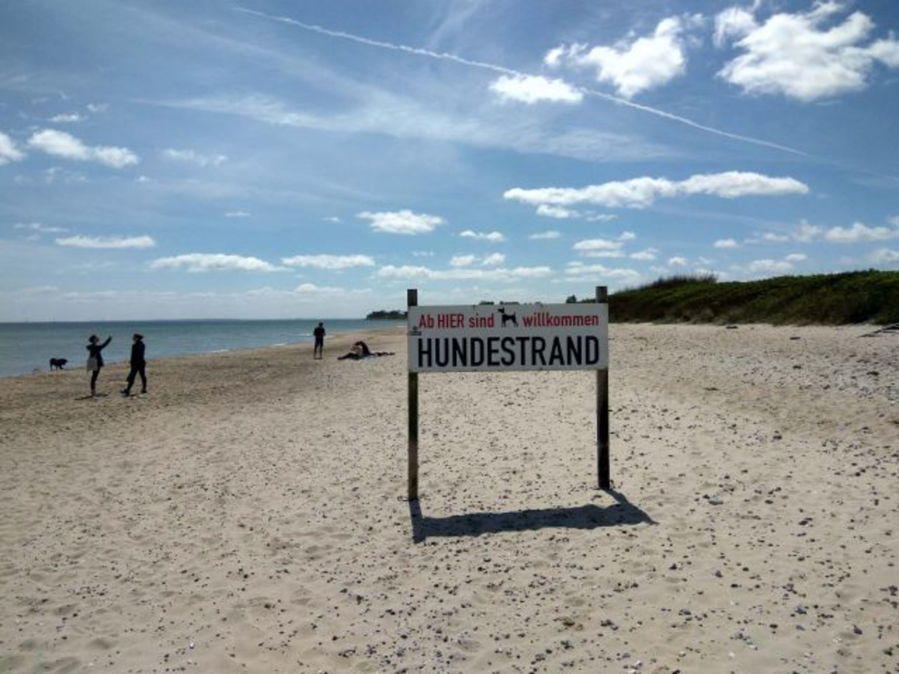 Am schönen Hundestrand spielen