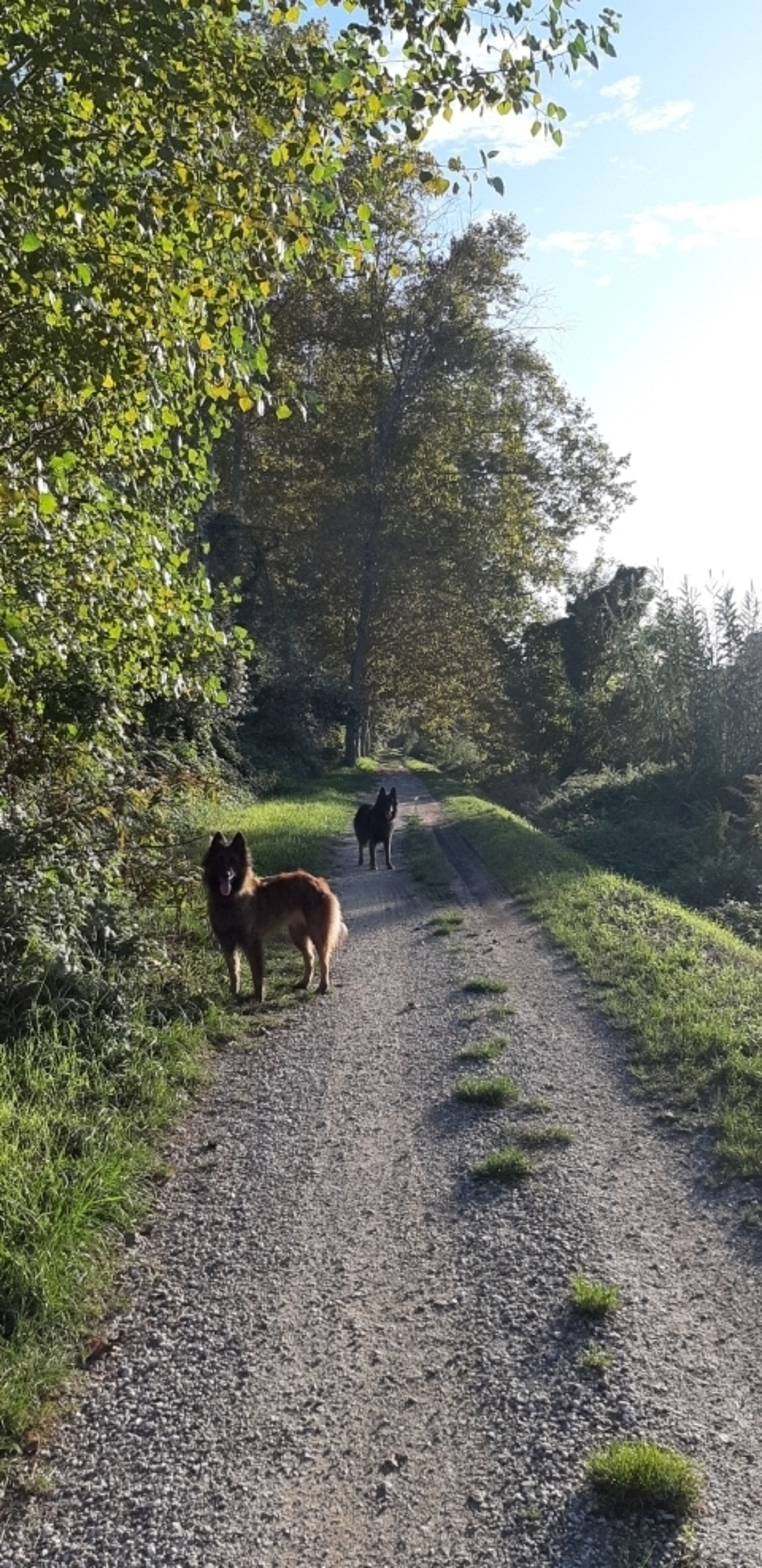 Bild 14