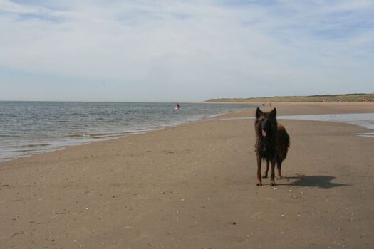 Strand in Ouddorp