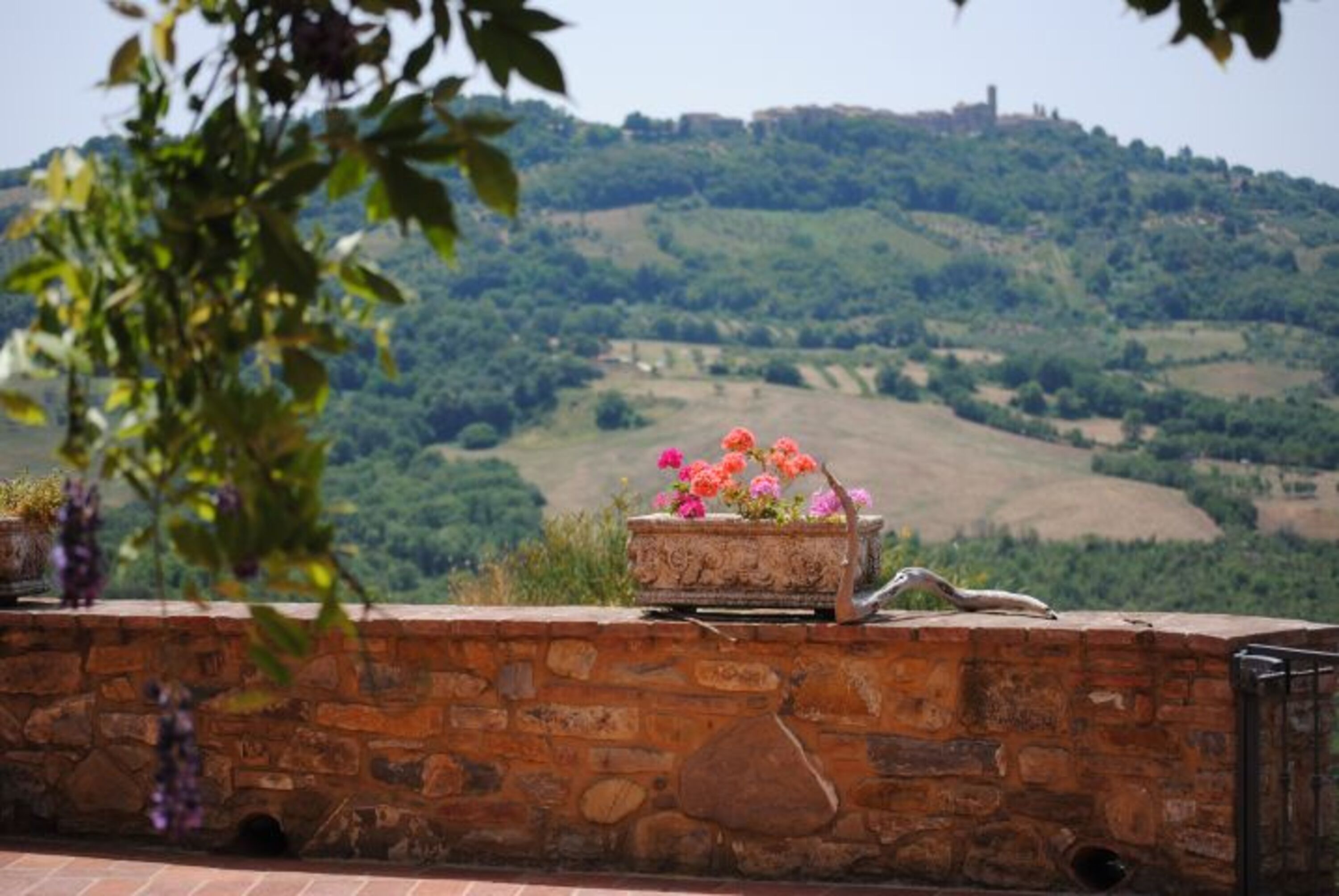 Panorama-Terrasse