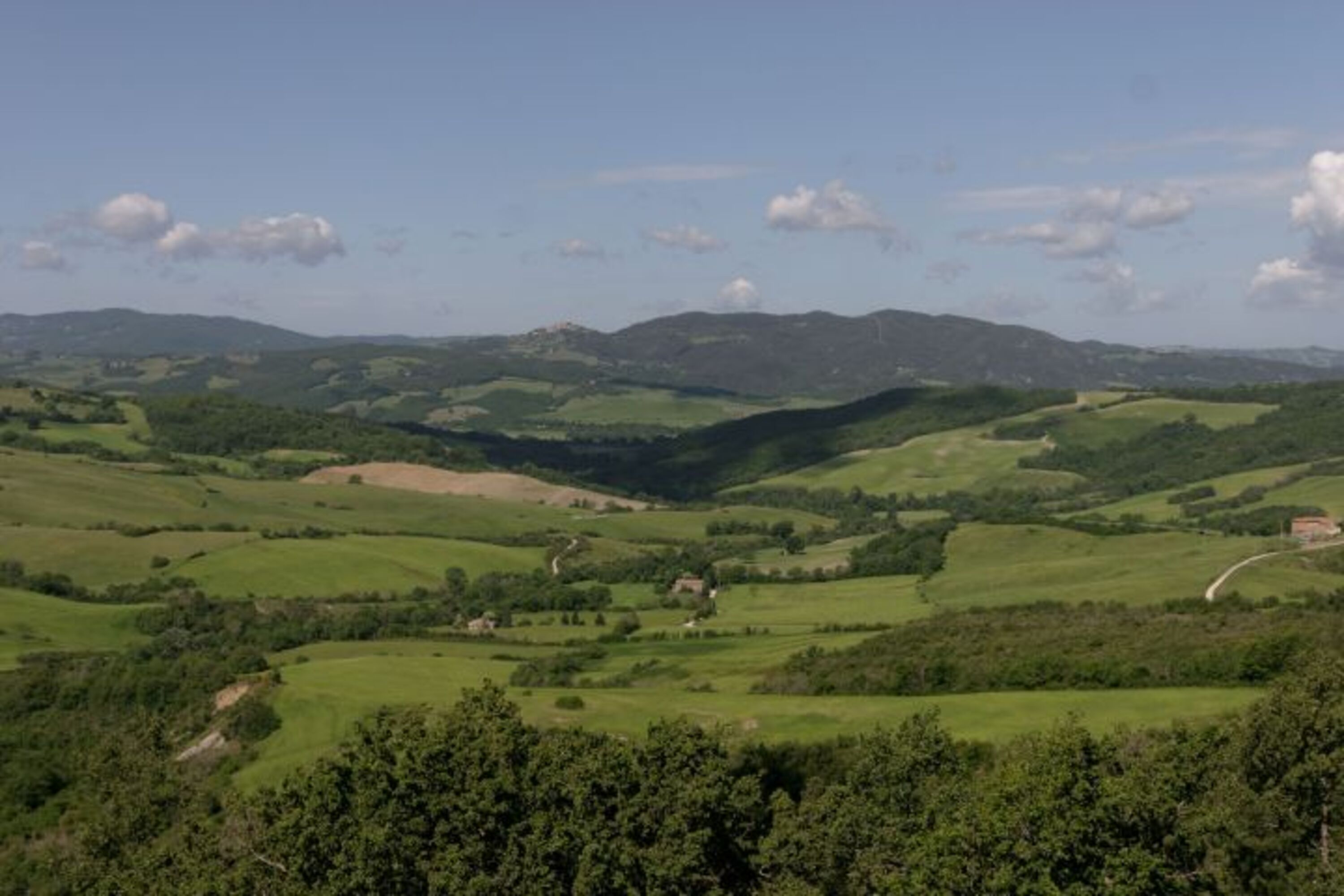 Panorama