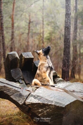 Wanderweg "LedroLandArt"