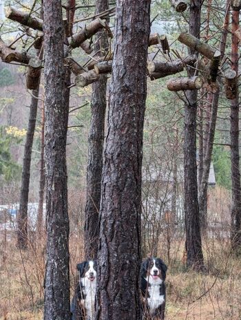 Wanderweg "LedroLandArt"