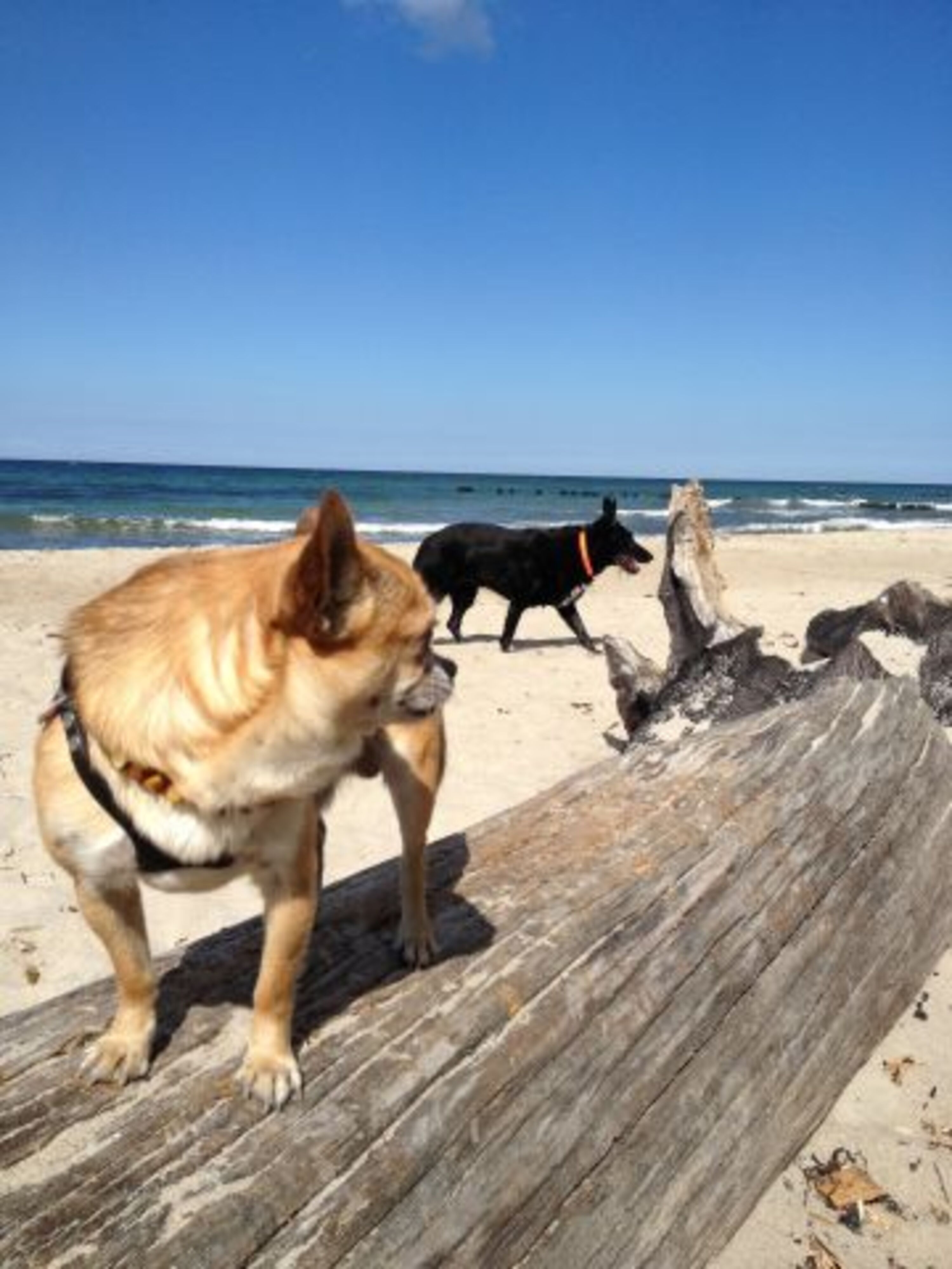 Ostsee
