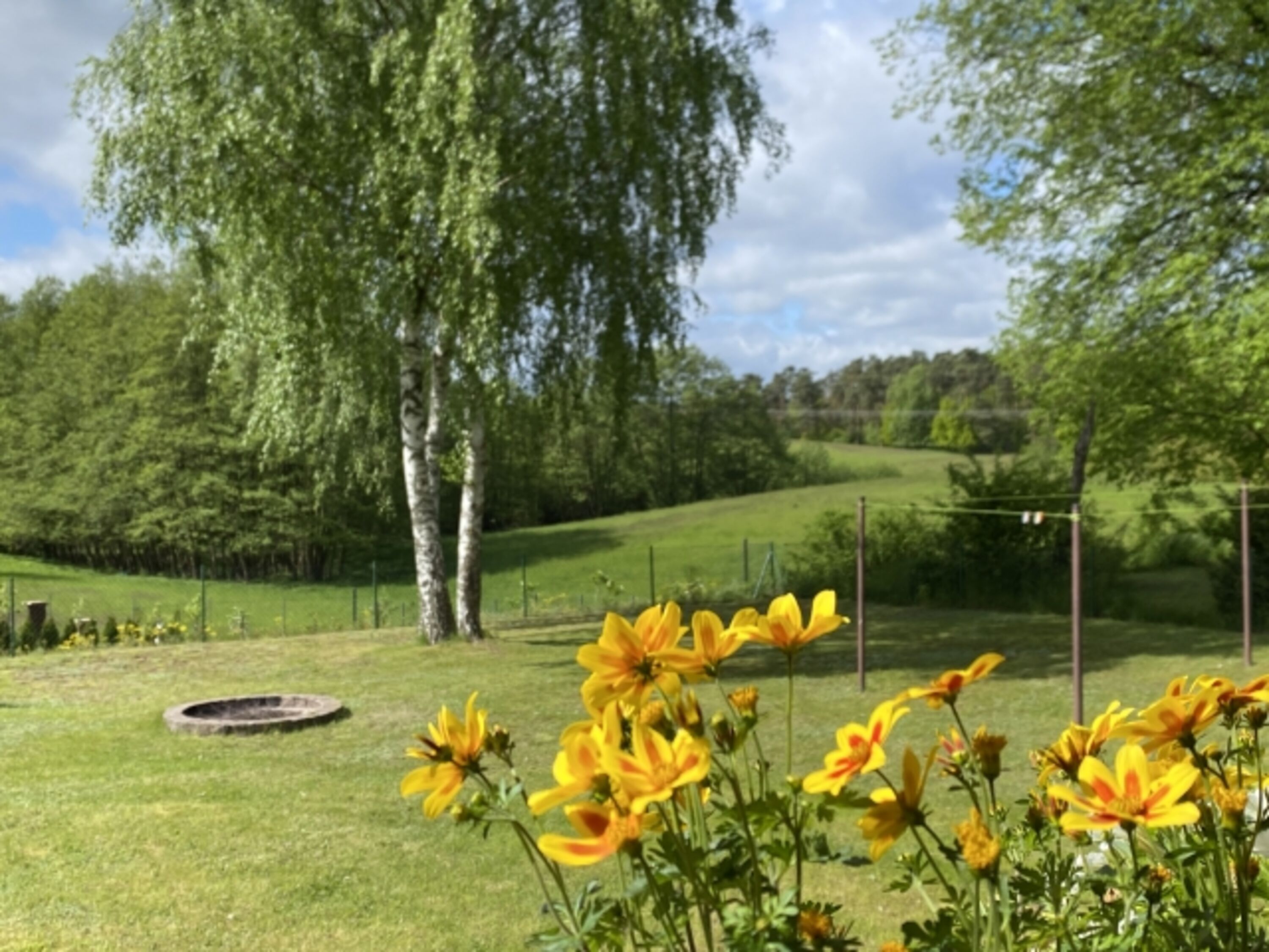 Blick auf Wald und Wiese in Useriner Mühle