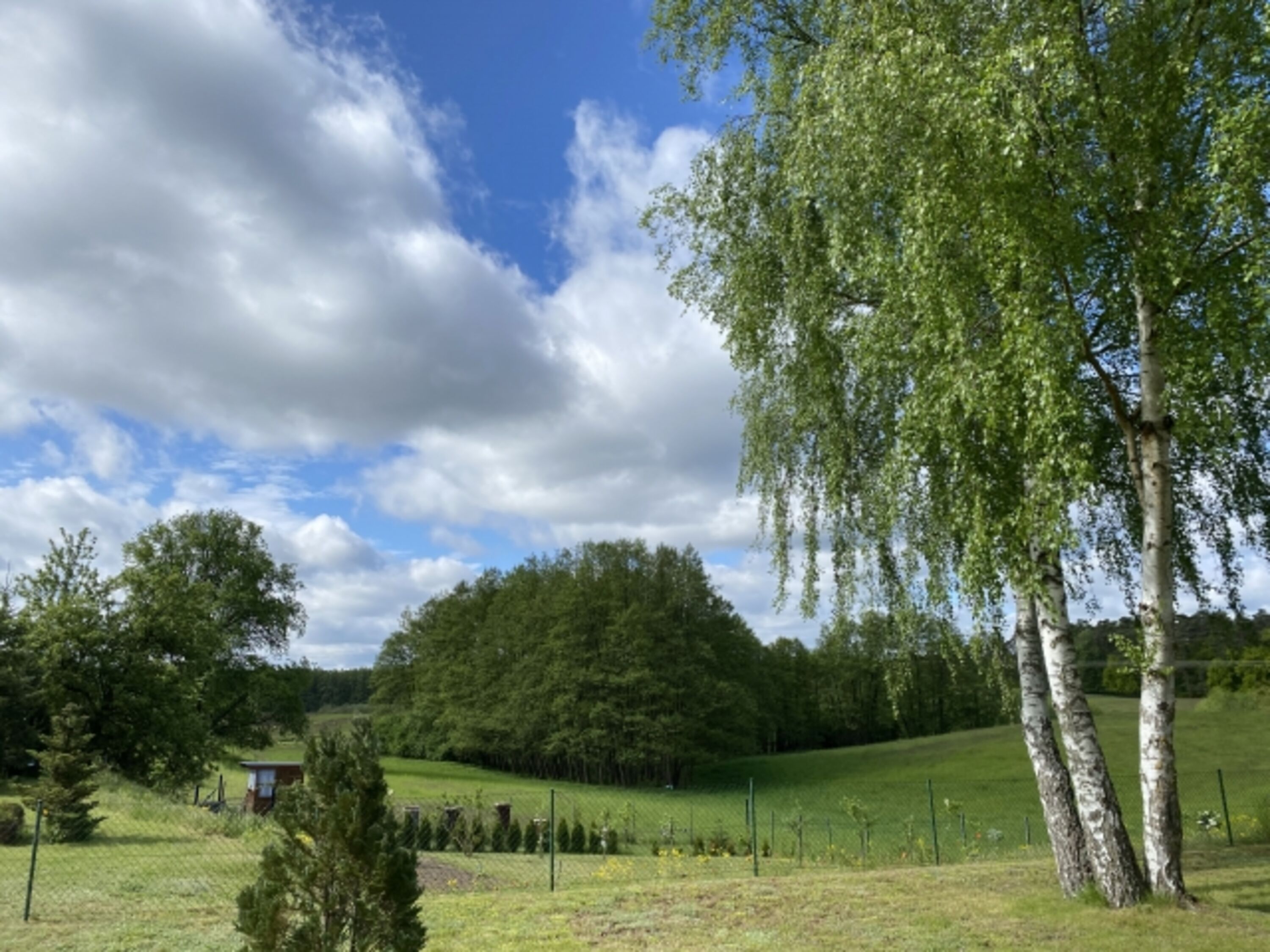 Blick von der Terrasse