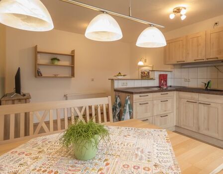 Wohnraum mit Küchenzeile