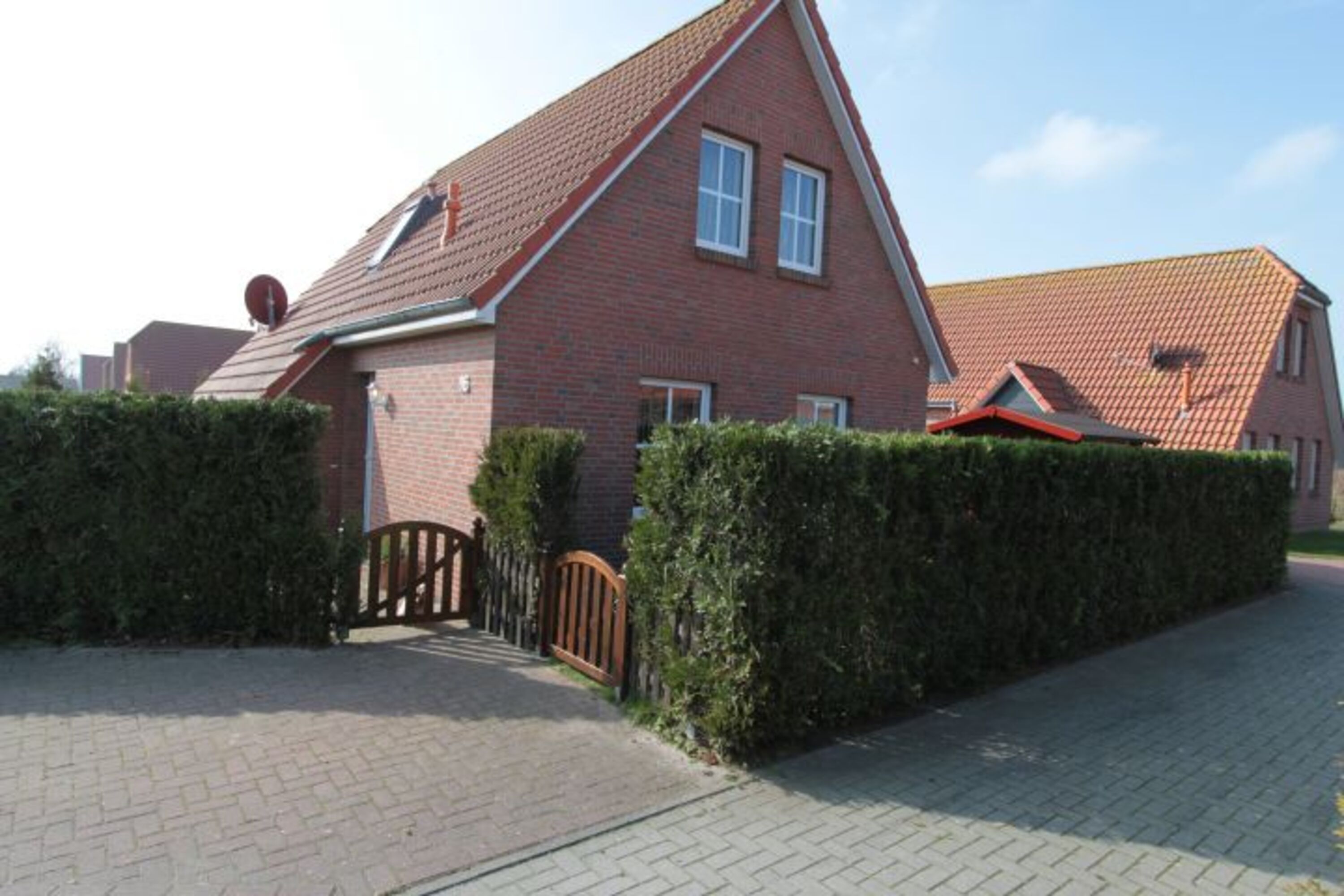 Bild 7