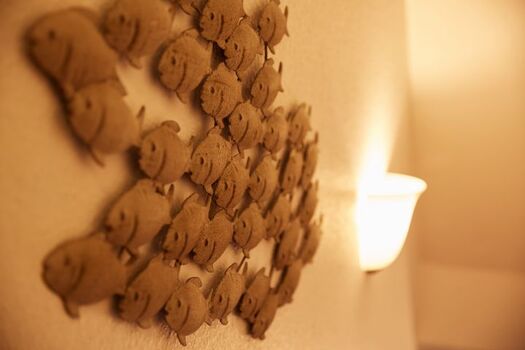 ein Fischschwarm begleitet Sie