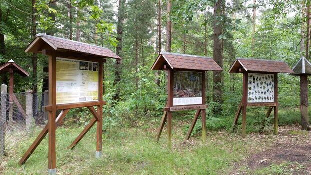 Lehrtafel der Waldschule nebenan