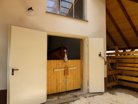 Pferdestall, auf Wunsch, für 2 Pferde