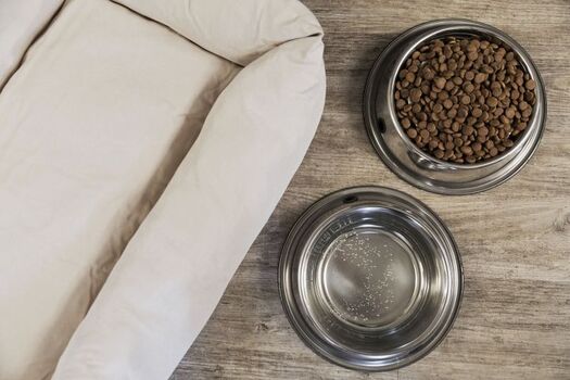 Wasser- und Futternapf