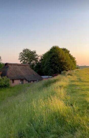 Willkommen im "Schaap un Diek" - Einzellage am Deich