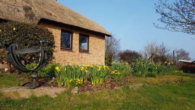 Der Frühling kommt!