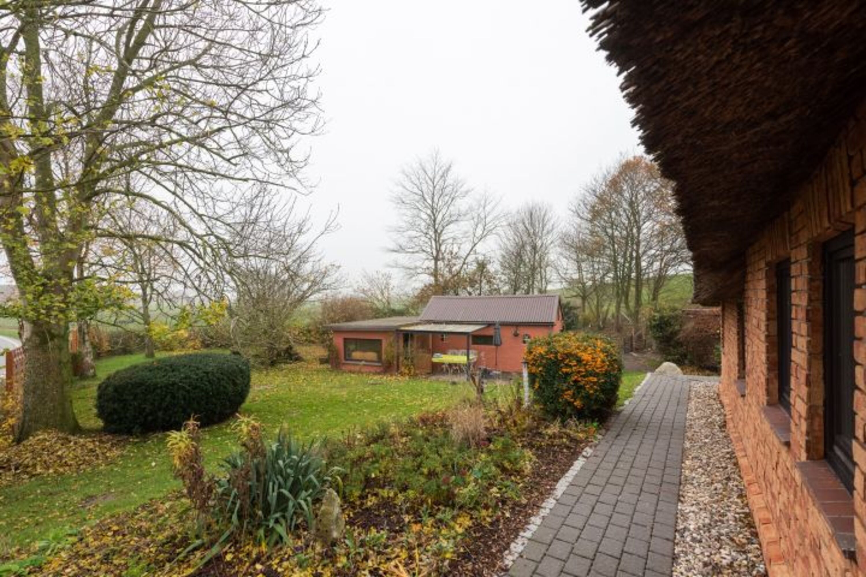Blick in den Garten 