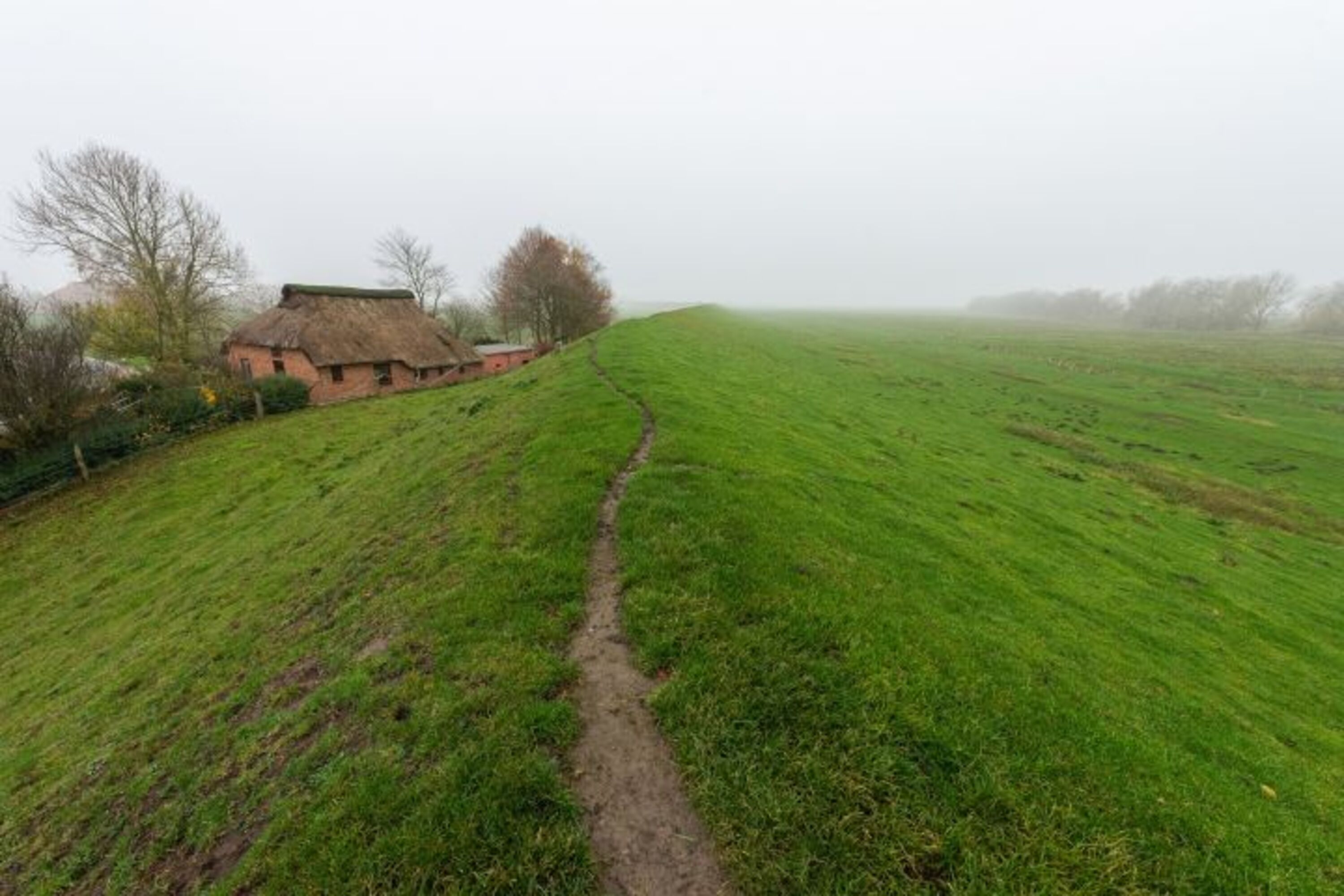 einzigartige Einzellage am Deich