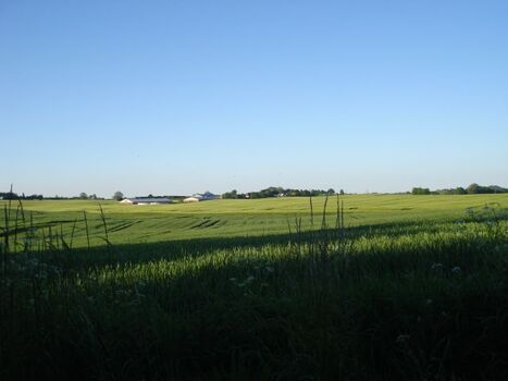 Direkt vor der Haustür