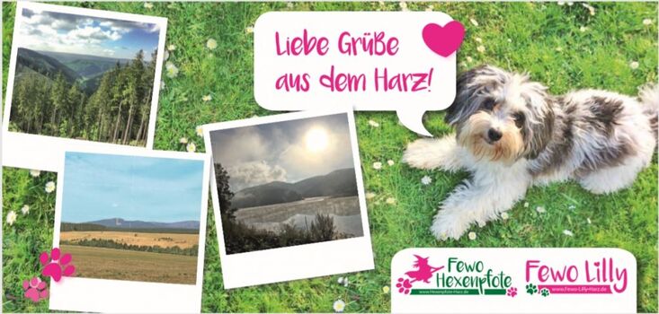 Postkarten für Euch 