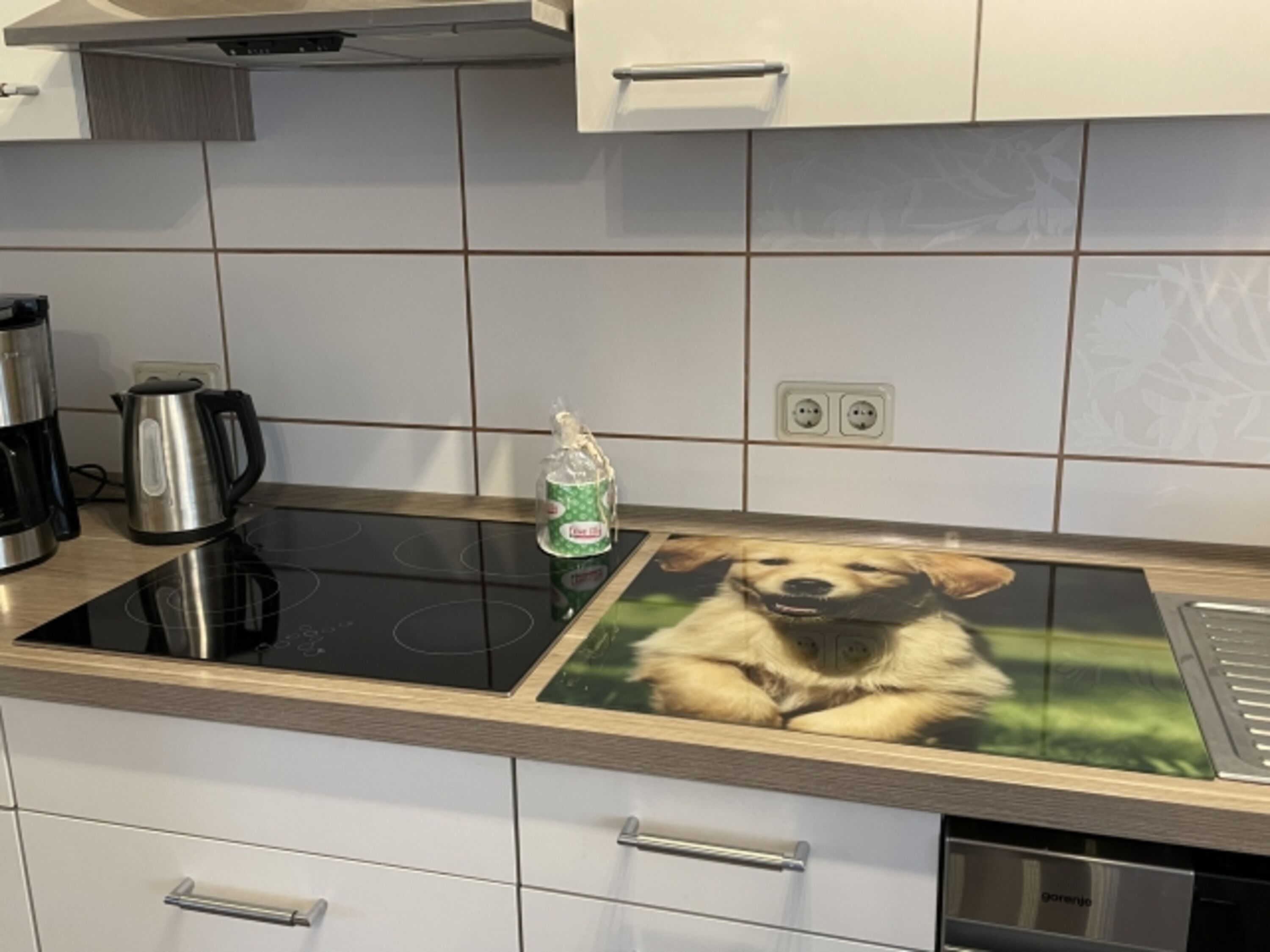 Küche, natürlich mit Hund
