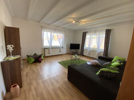 Wohnzimmer  mit passenden Sofa und Hundekissen