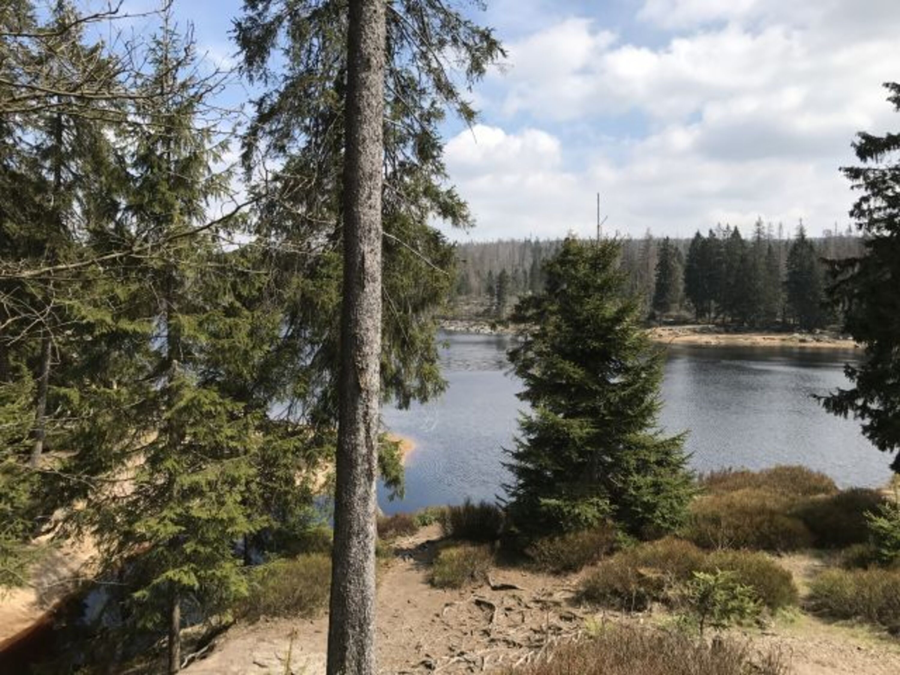 Natur pur