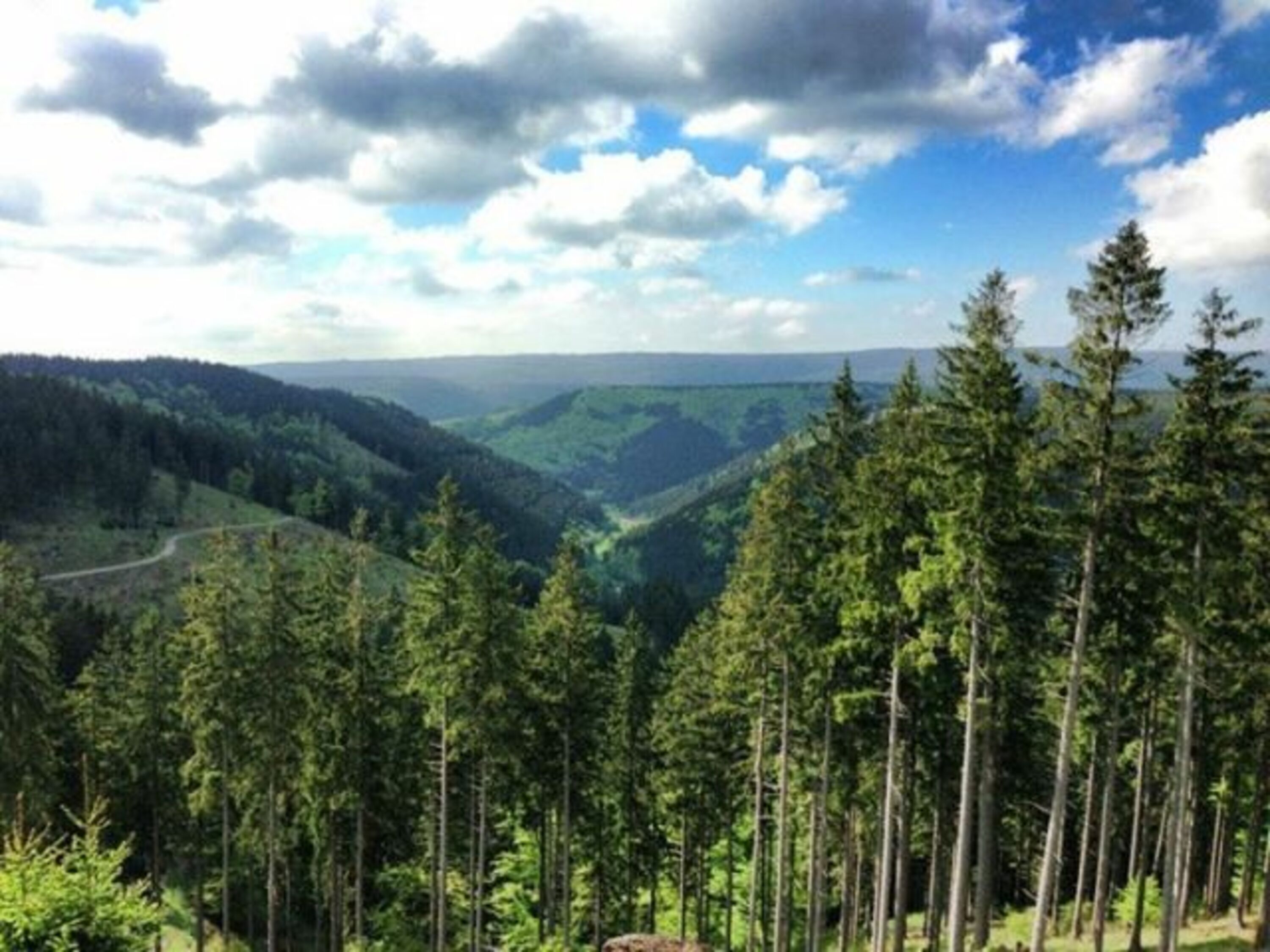 Blick ins Siebertal