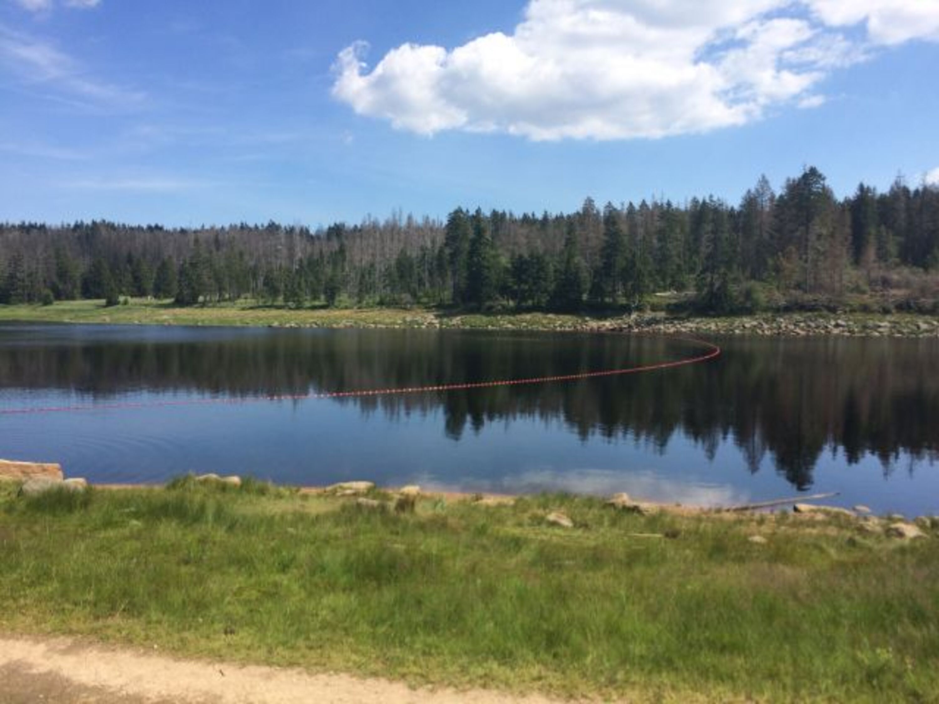 Oderteich