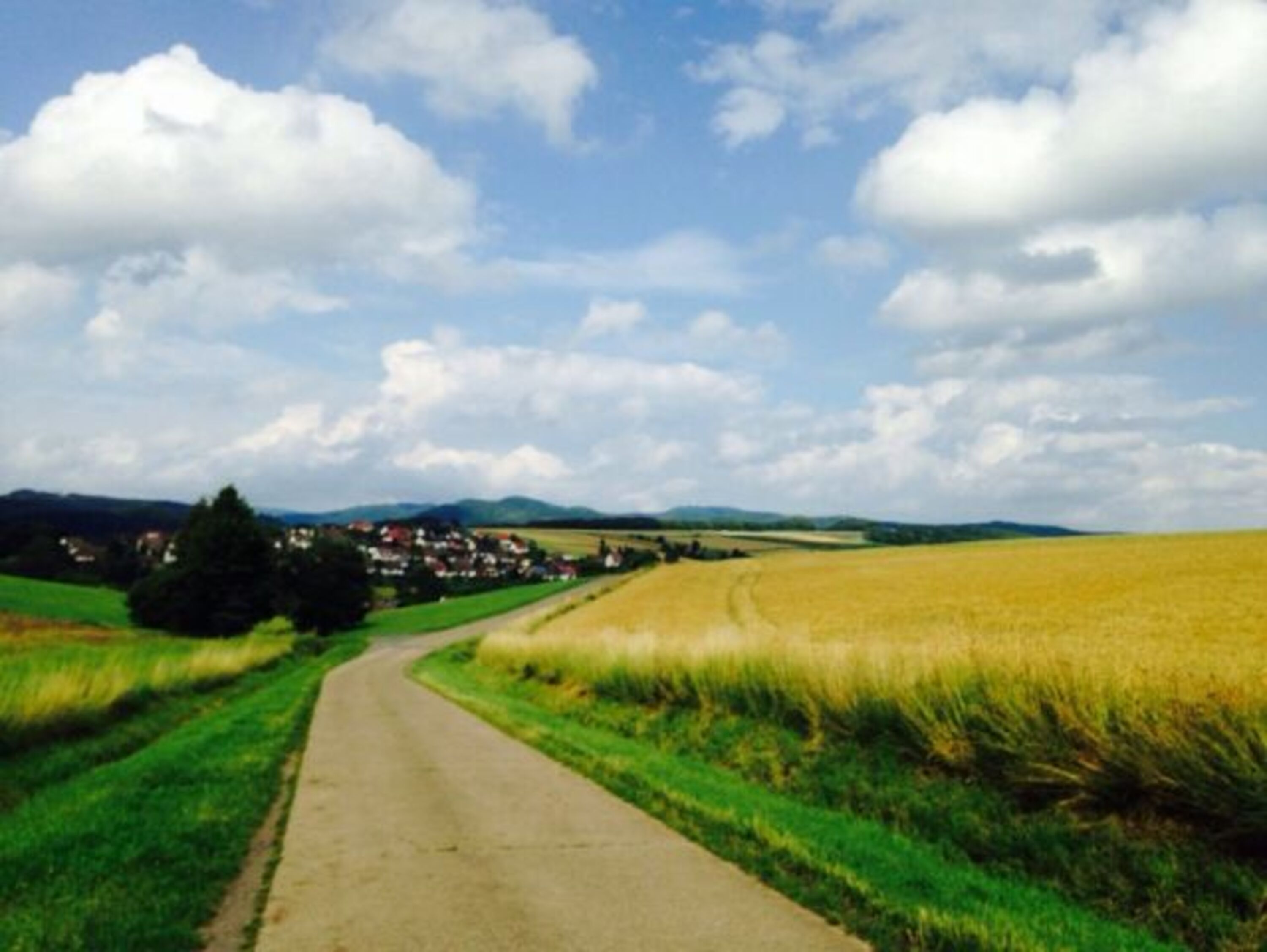 Feld