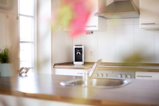 Fischerliesel Greetsiel