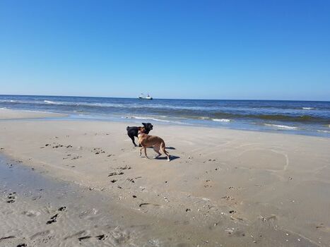 Hier werden dicke Freundschaften geschlossen