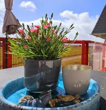 Auf dem Südbalkon genießen Sie die Sonne