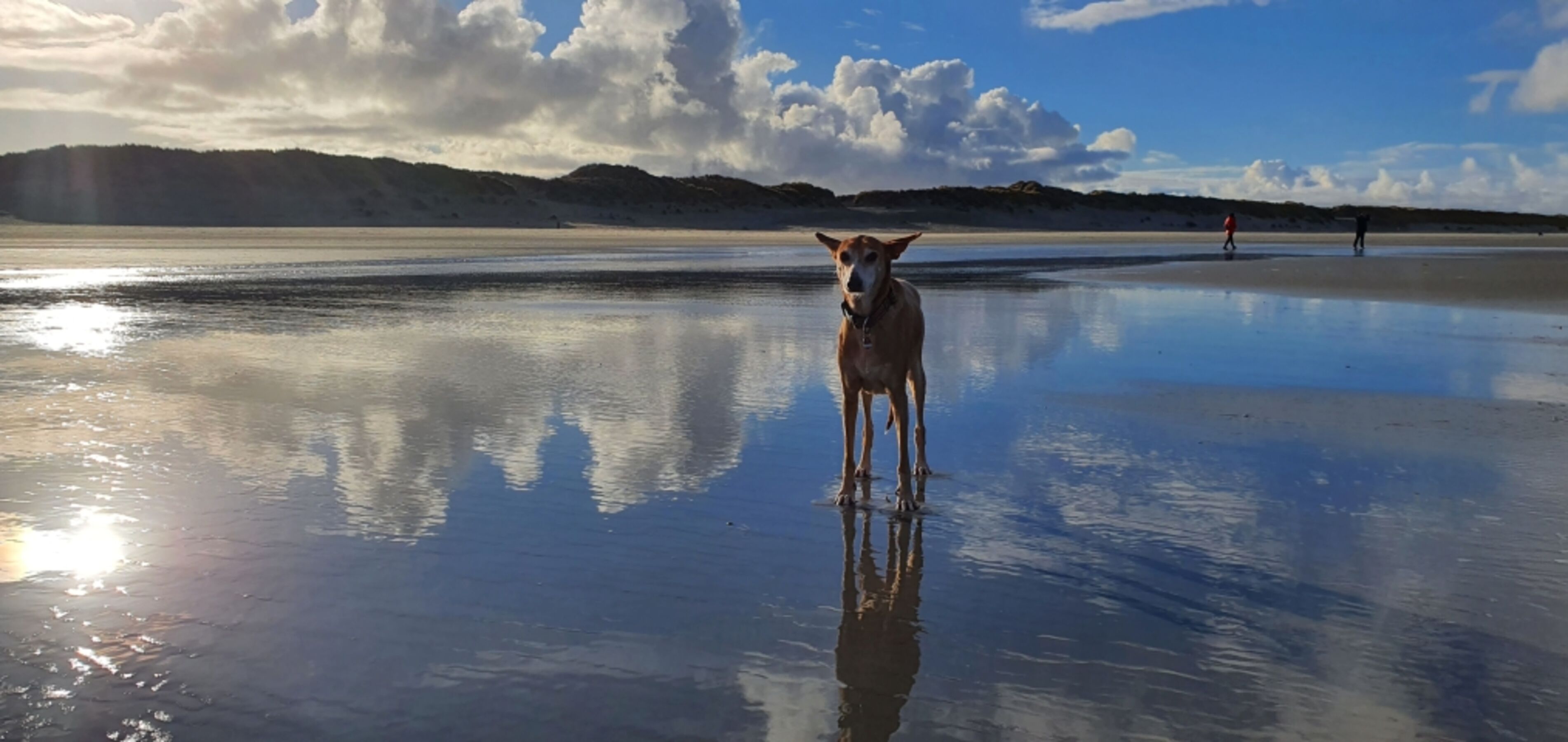 Die Lilli am Strand