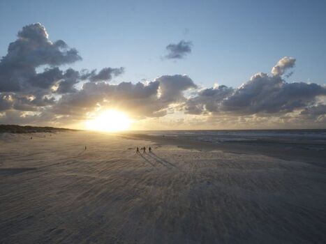 Der schönste Strand in den Niederlanden