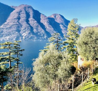 TraumVilla mit ParadiesGarten am Ufer vom Comersee