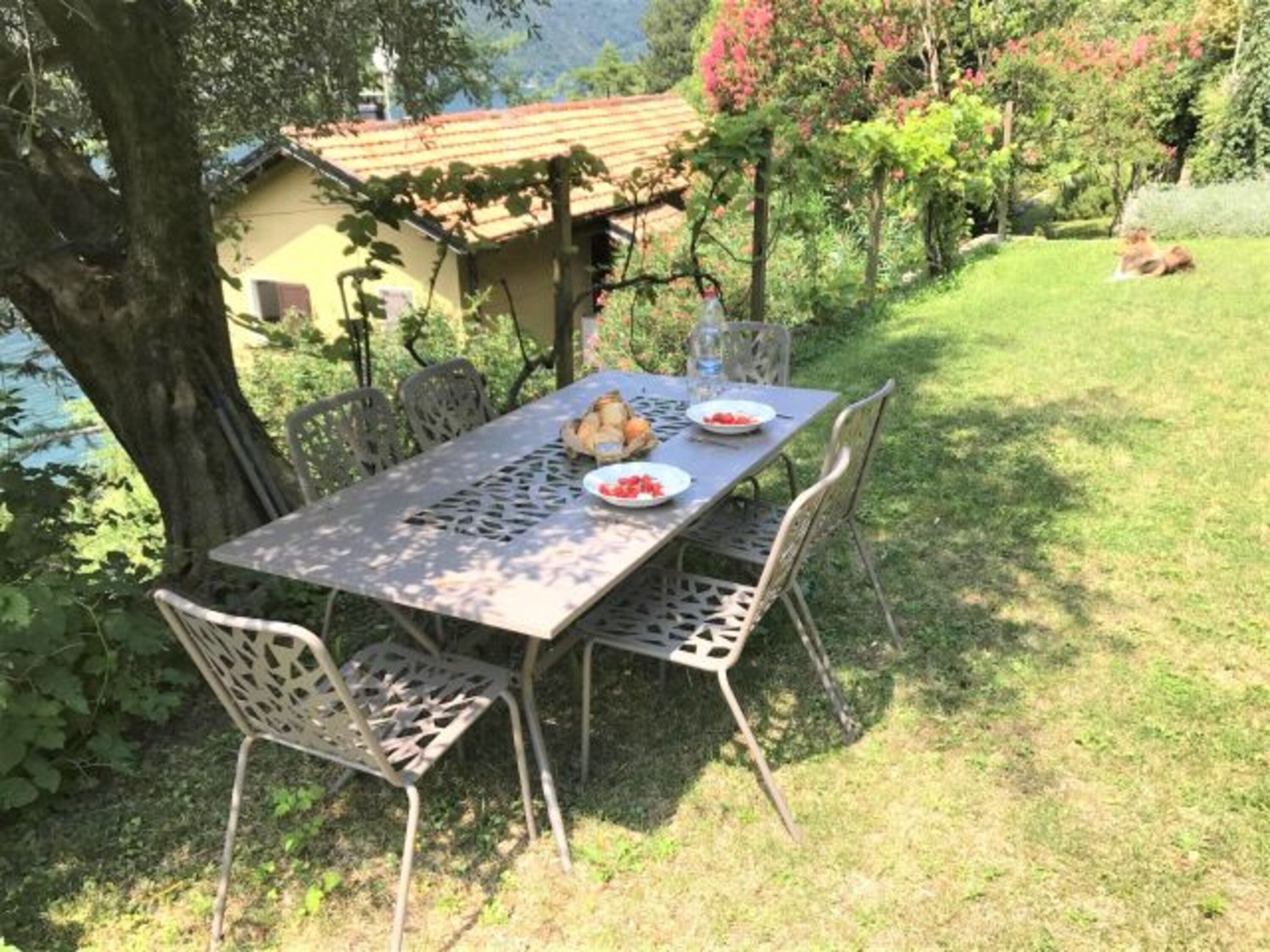 Esstisch im Schatten vom Olivenbaum