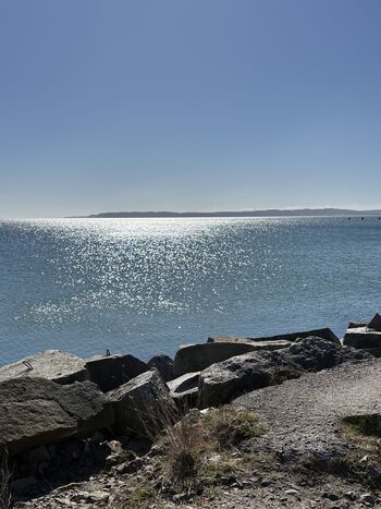 Blick nach Insel Vilm