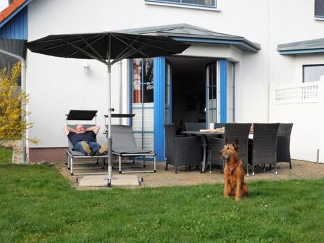 Terrasse mit Irish Terrier