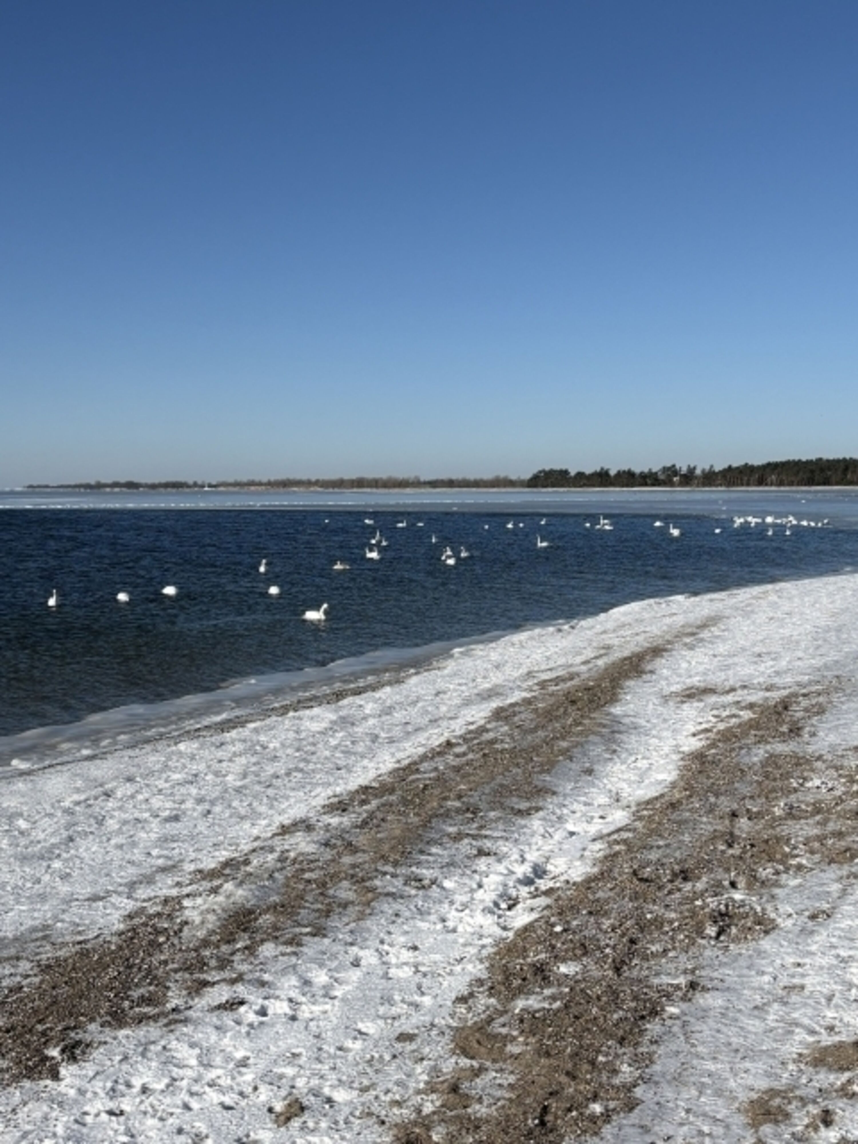 Winter 2026