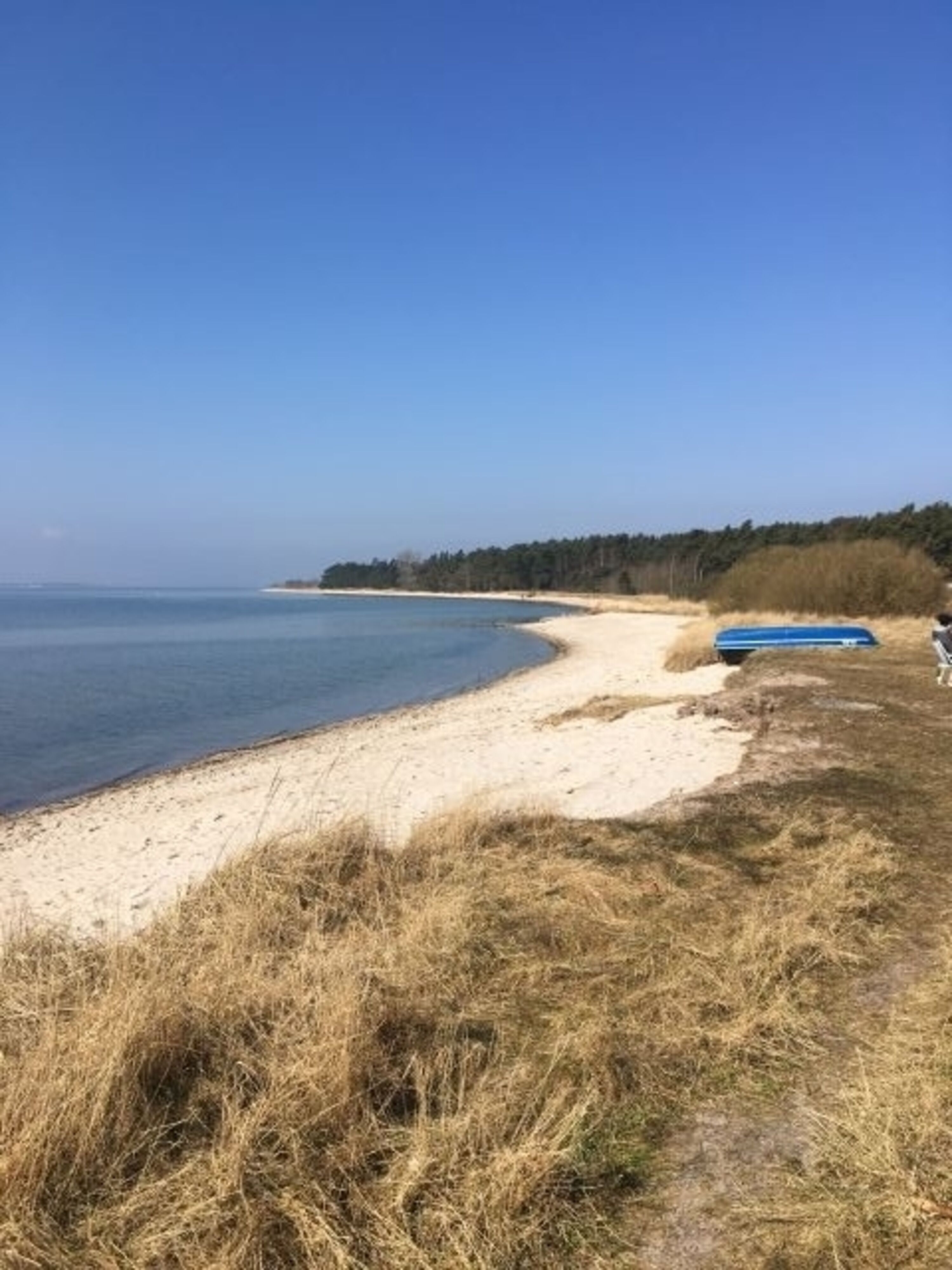 Palmer Ort, Natur pur