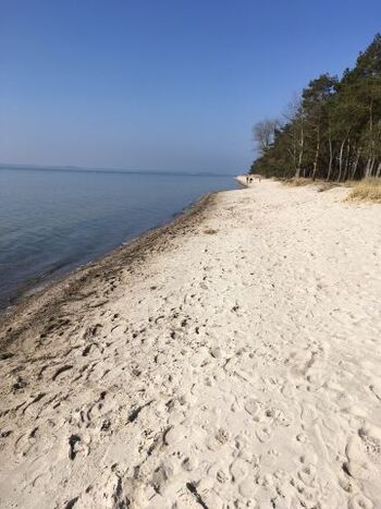 Naturstrand Palmer Ort