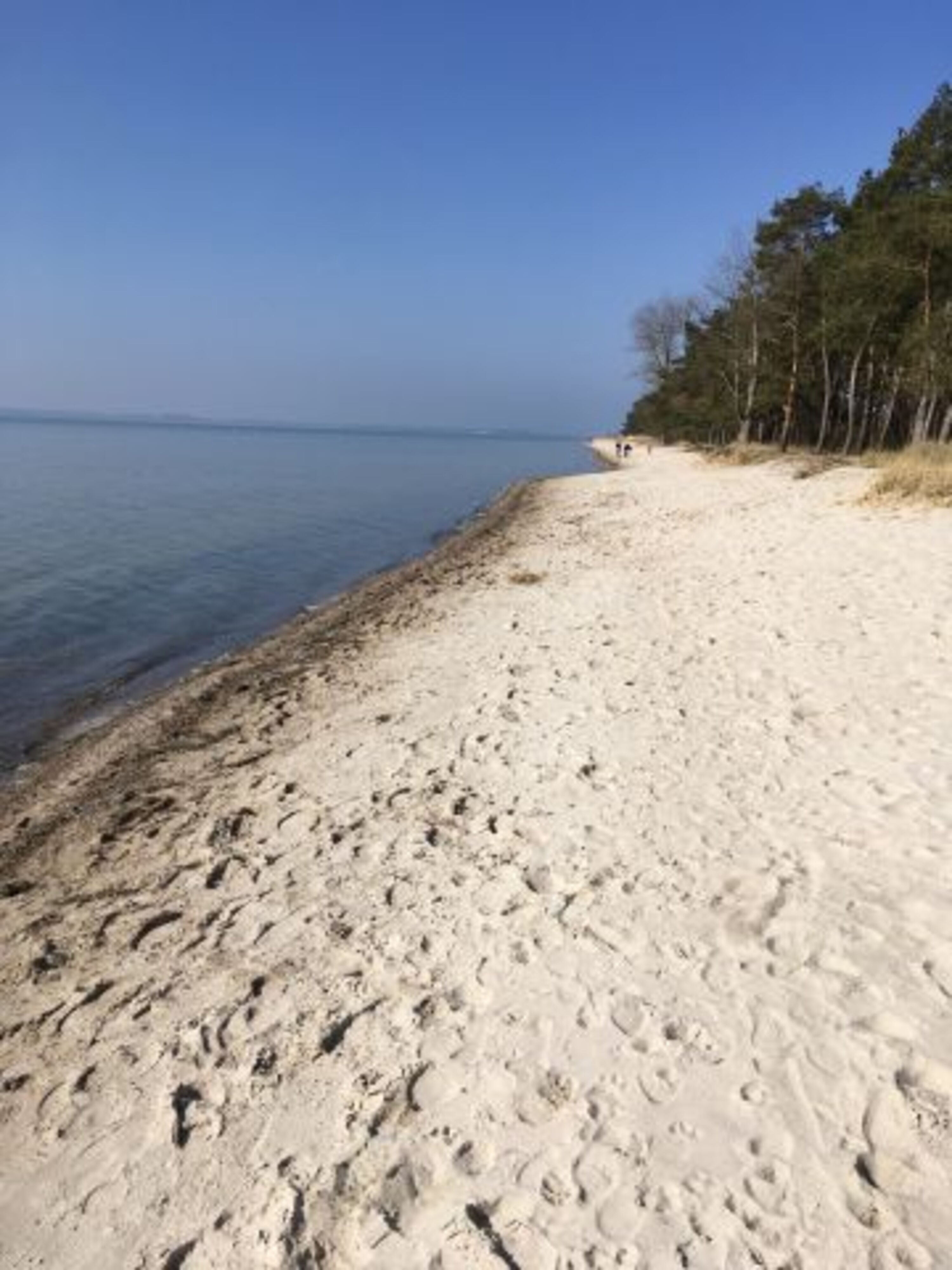 Naturstrand Palmer Ort