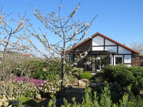 Premiumhaus Gala - Südseite