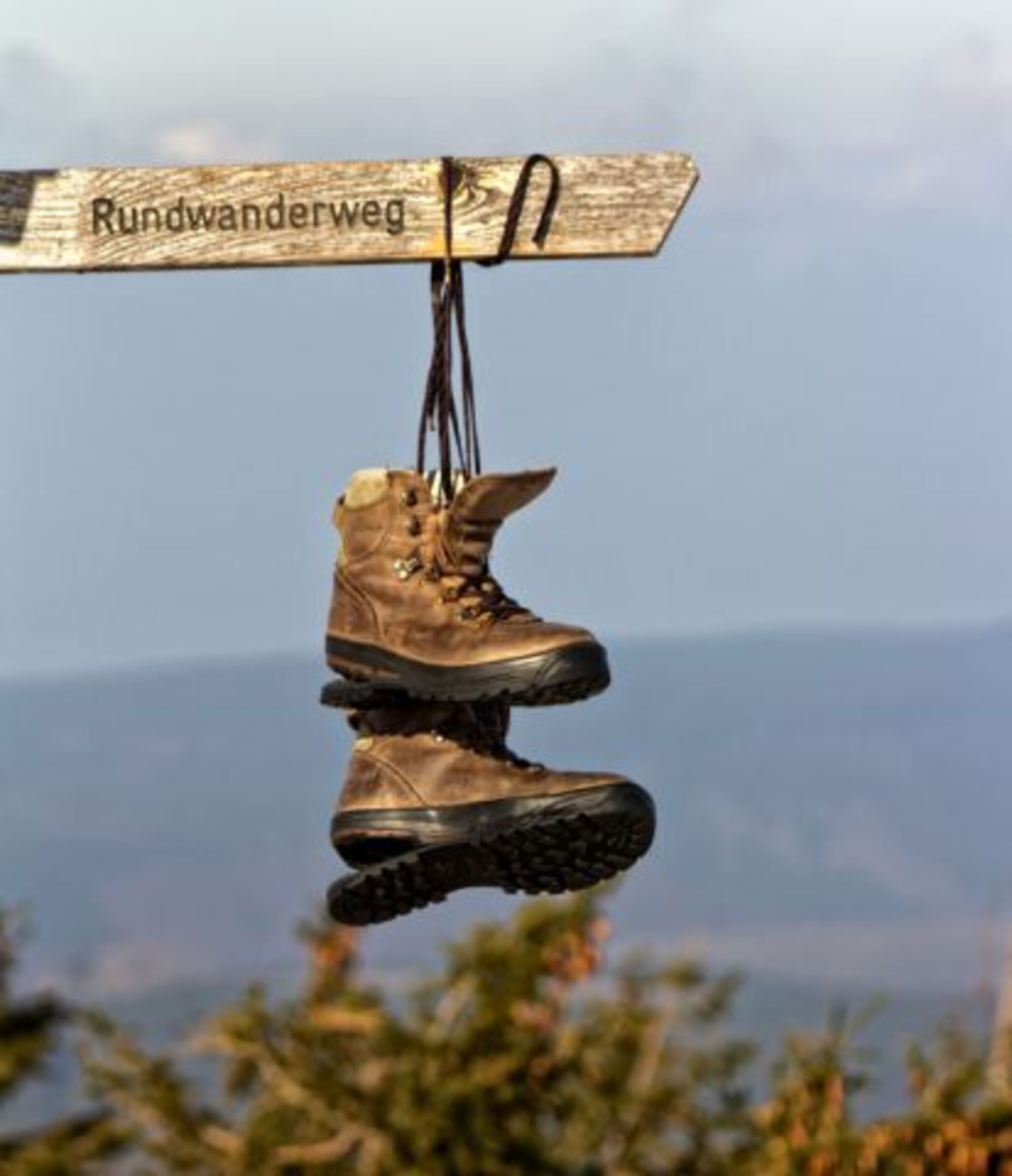 Wanderurlaub in Hahnenklee