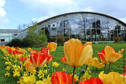 Ausflugsziel: Blumenhalle in Wiesmoor