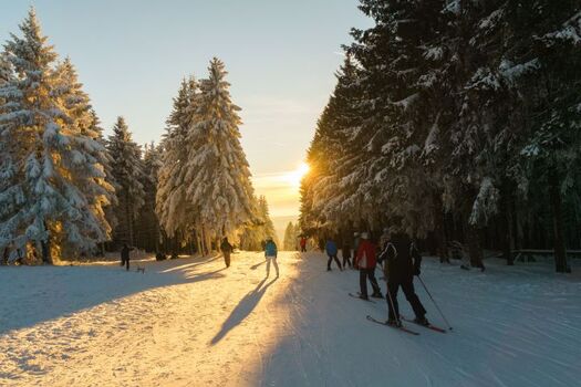 Talabfahrt in Hahnenklee