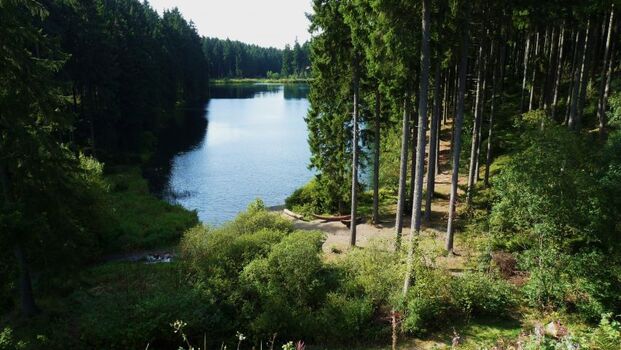 Wanderwege in Hahnenklee