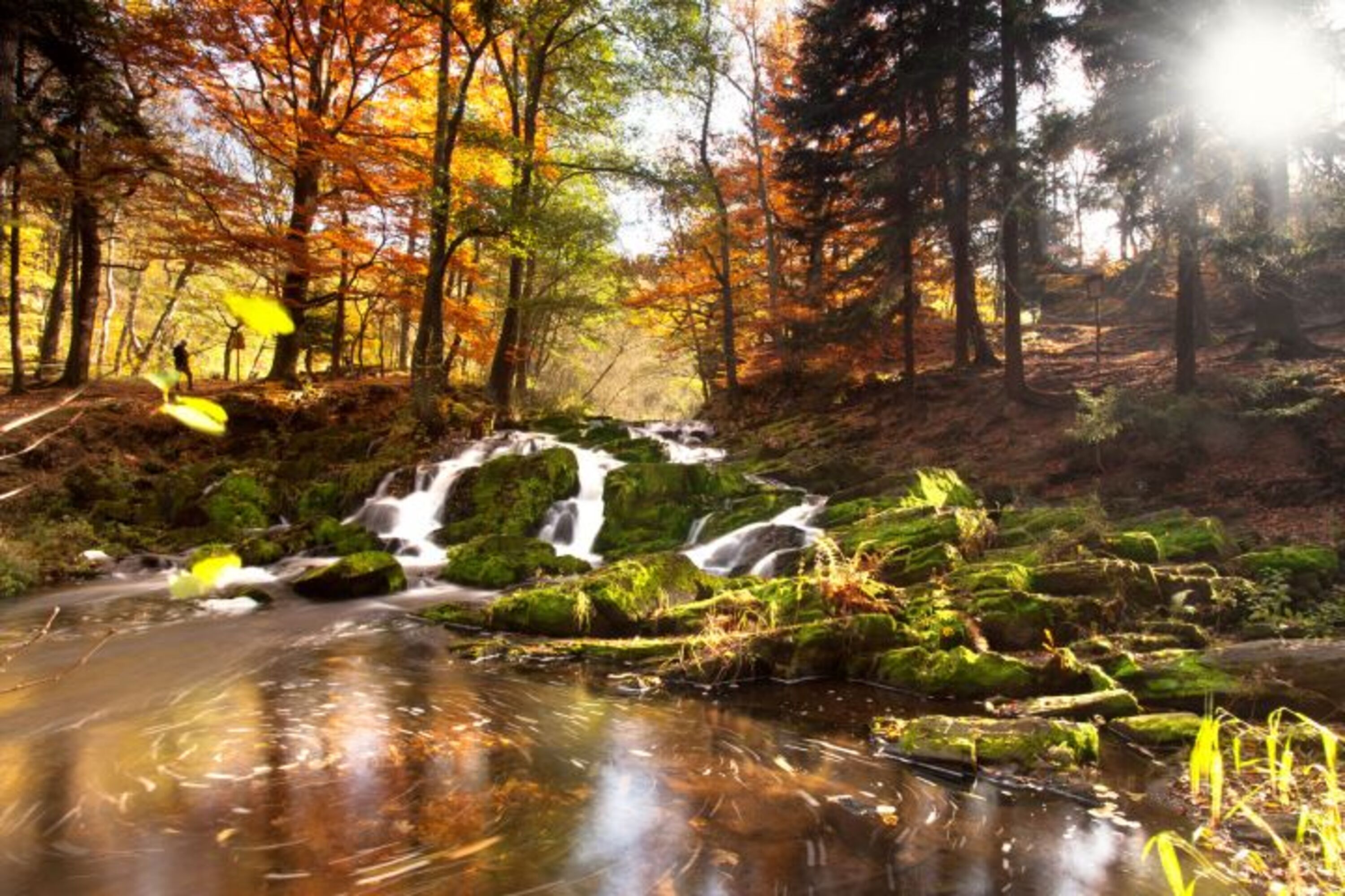 Natur pur