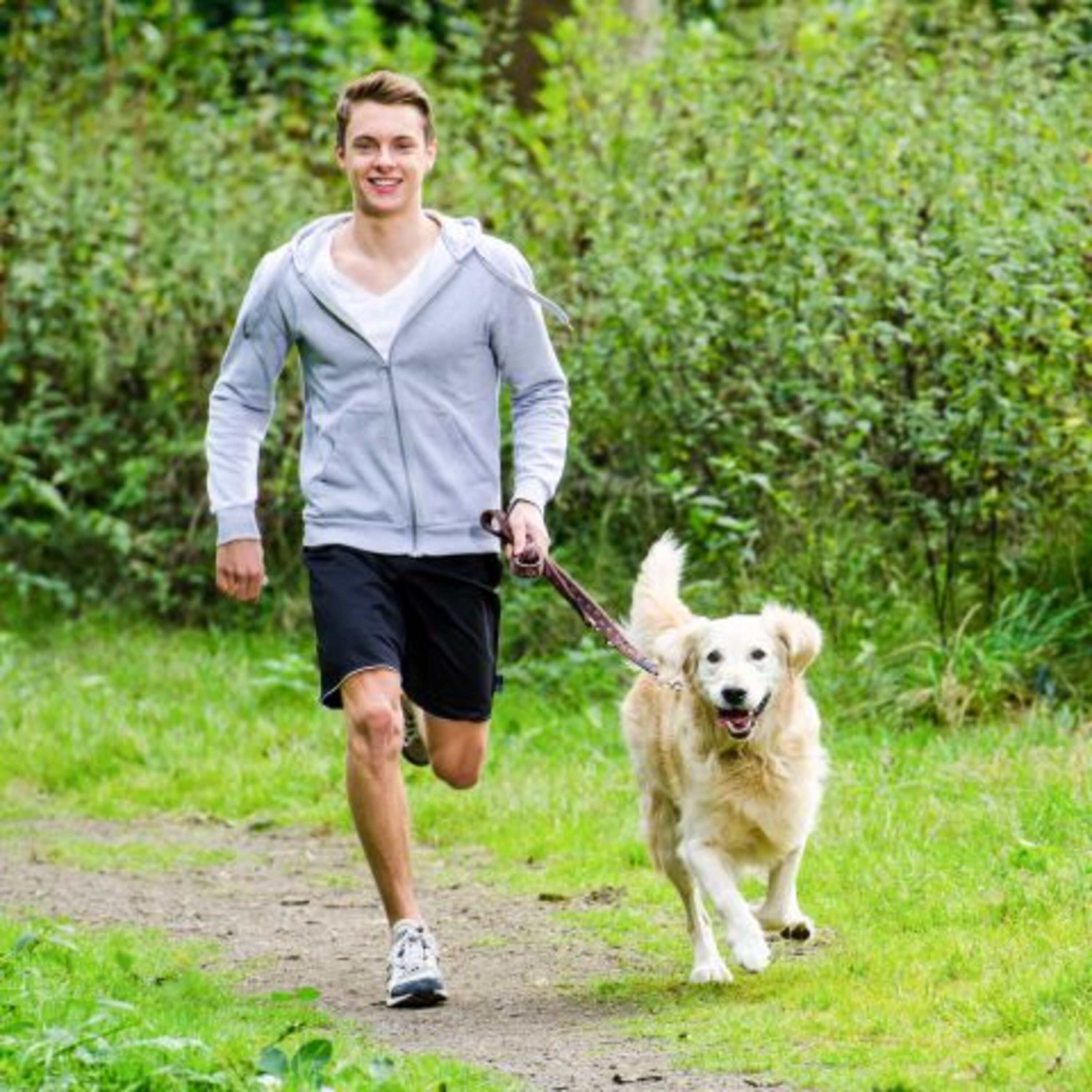 Fit durch den Harz