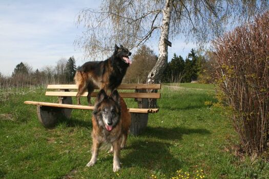 Umgebung direkt beim Haus