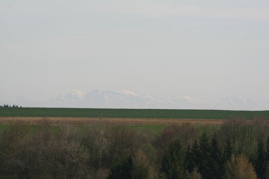 Blick zu den Schweizer Alpen